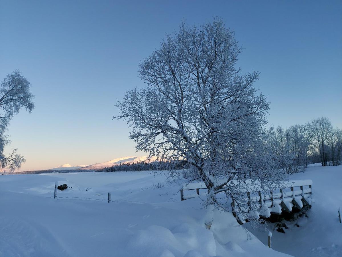 Villmarksgard Tommerstue Hattfjelldal Exteriör bild