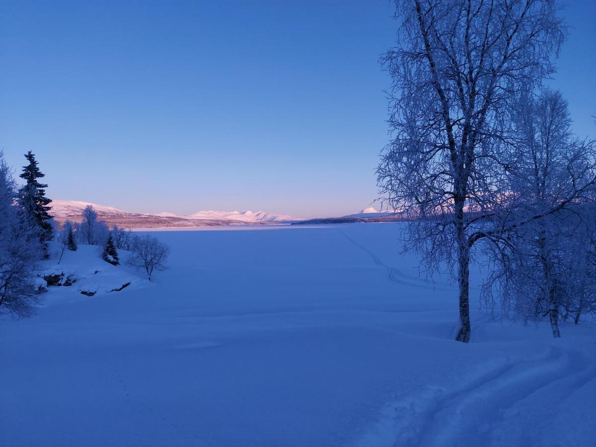 Villmarksgard Tommerstue Hattfjelldal Exteriör bild