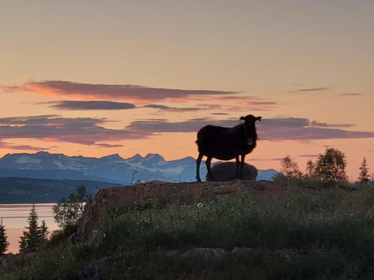 Villmarksgard Tommerstue Hattfjelldal Exteriör bild